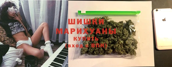 стафф Новодвинск