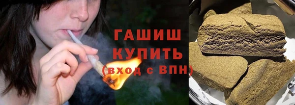 стафф Новодвинск
