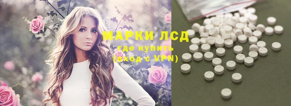 стафф Новодвинск