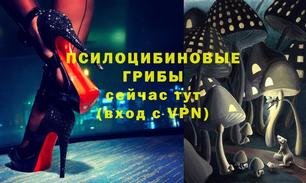 стафф Новодвинск