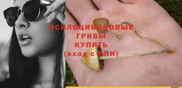 альфа пвп Новозыбков