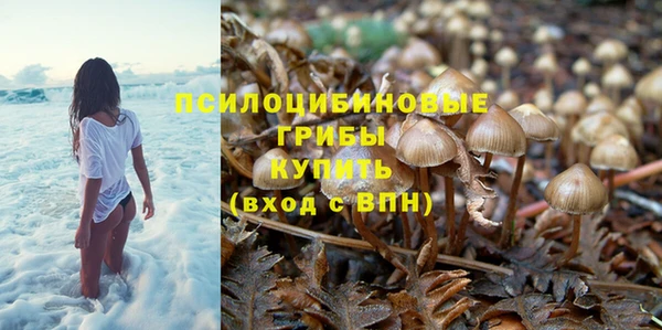 стафф Новодвинск