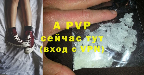 стафф Новодвинск