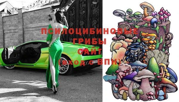 apvp Нея