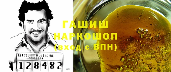 стафф Новодвинск