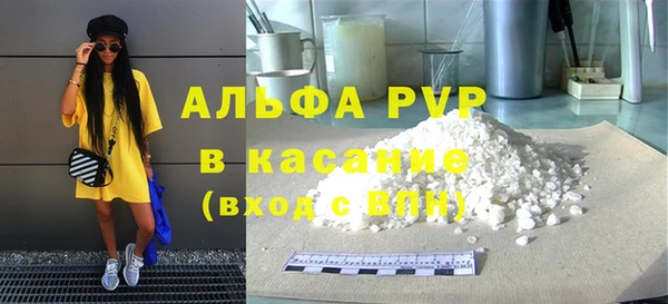 стафф Новодвинск