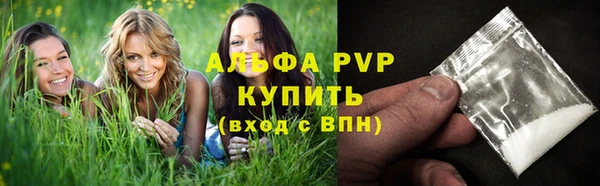стафф Новодвинск